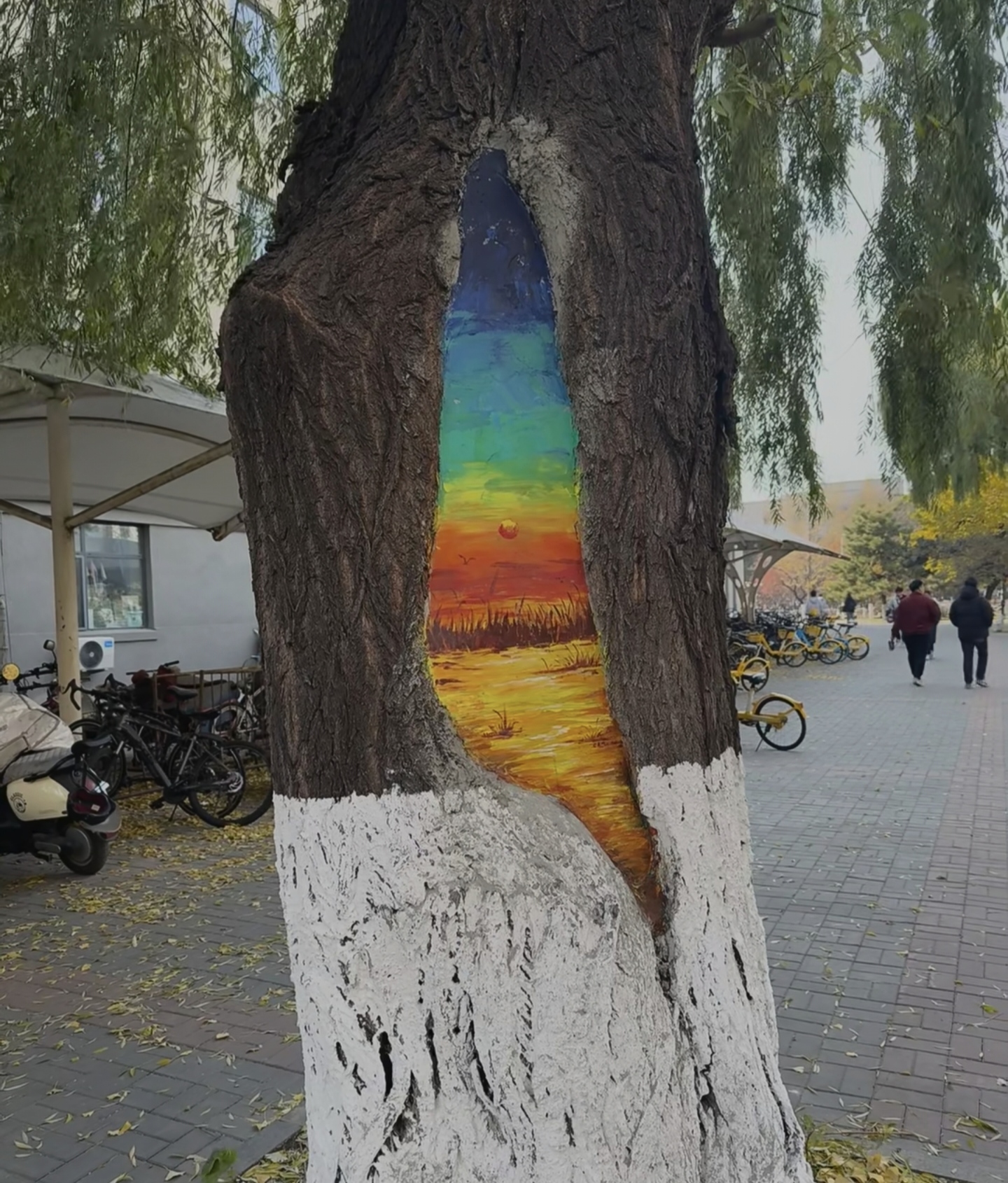 1000056682.jpg